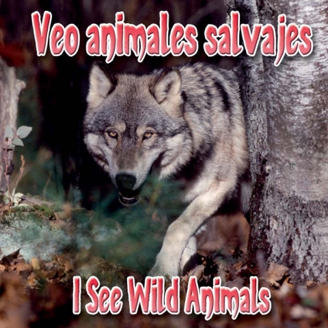 Cover image for book Veo animales salvajes