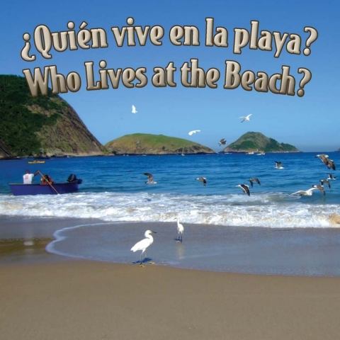 Cover image for book Quien vive en la playa?