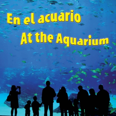Cover image for book En el acuario