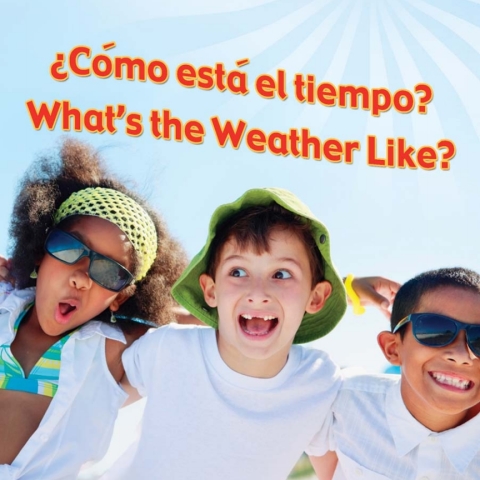 Cover image for book Como esta el tiempo?