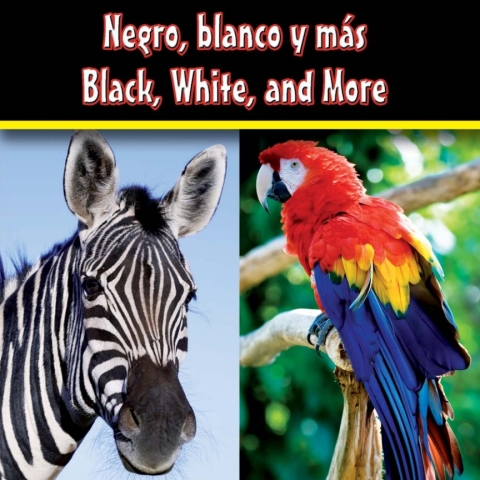 Cover image for book Negro, blanco y mas