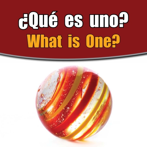 Cover image for book Que es uno?
