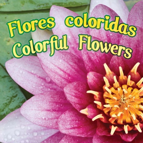 Cover image for book Flores coloridas
