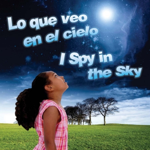 Cover image for book Lo que veo en el cielo