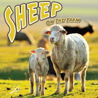 صورة الغلاف: Sheep On The Farm 9781615905072