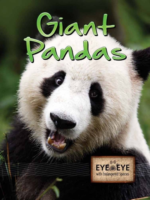 Cover image for book Giant Pandas