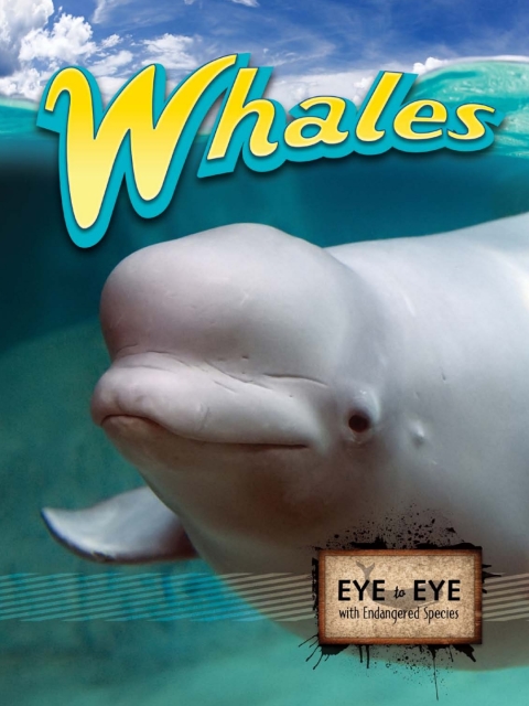 Cover image for book Whales