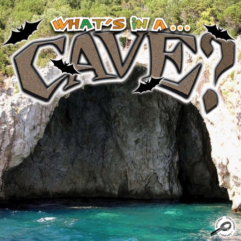 Cover image for book What's in a… Cave?