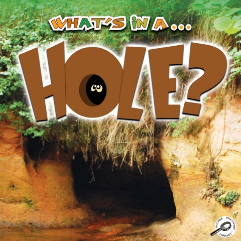 Cover image for book What's in a… Hole?