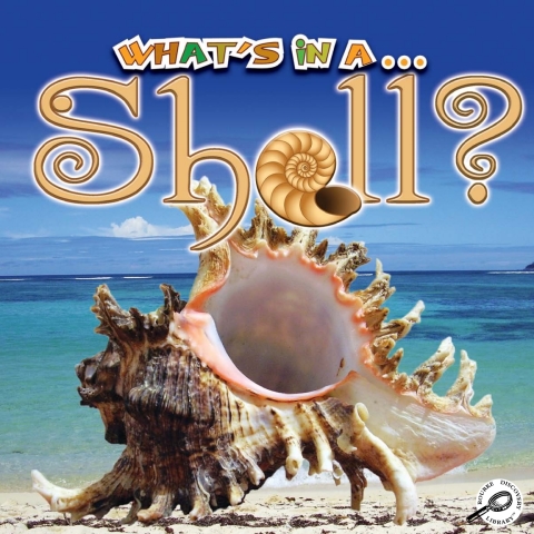Cover image for book What's in a… Shell?