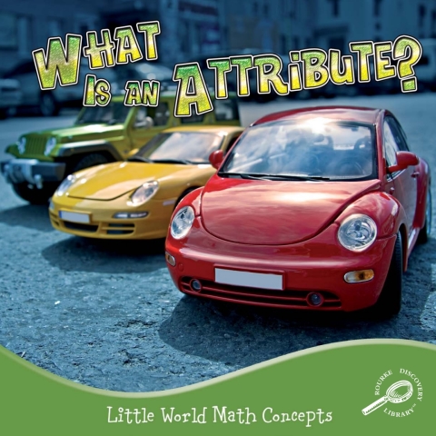 Cover image for book What Is An Attribute?