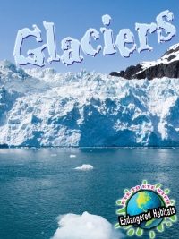 صورة الغلاف: Glaciers 9781615905546