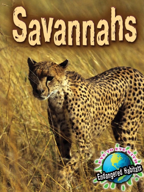 Cover image for book Savannahs