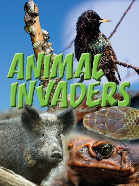 Cover image for book Animal Invaders