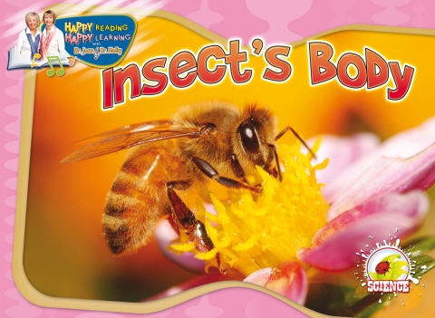 Cover image for book Insect's Body