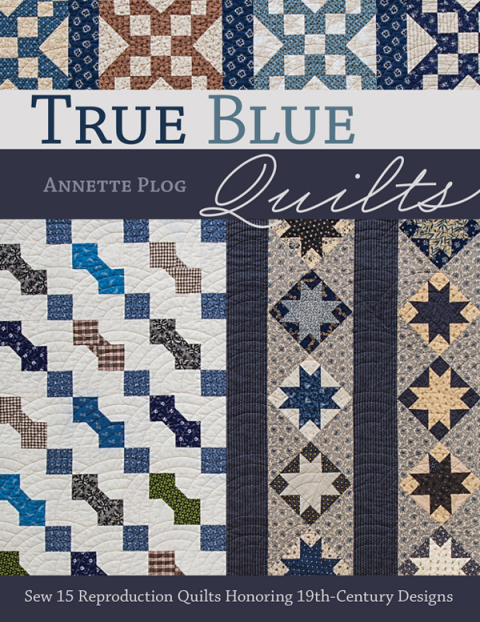 Cover image for book True Blue Quilts