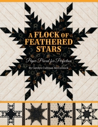 Cover image: A Flock of Feathered Stars 9781611690804
