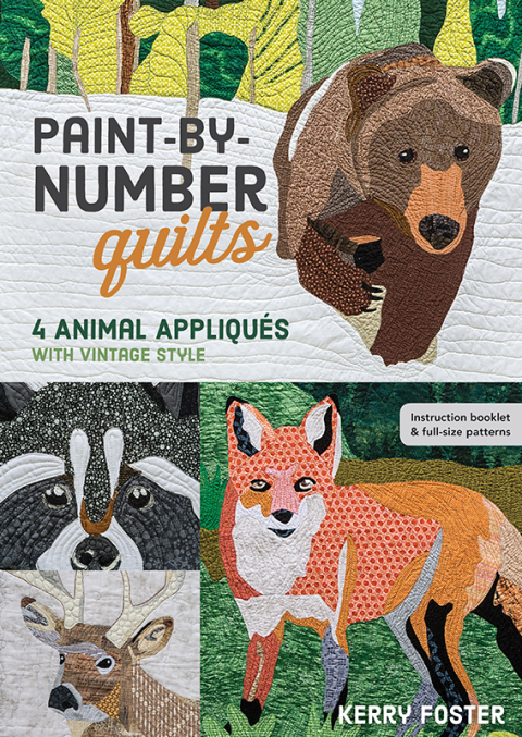 Cover image for book Paint-by-Number Quilts