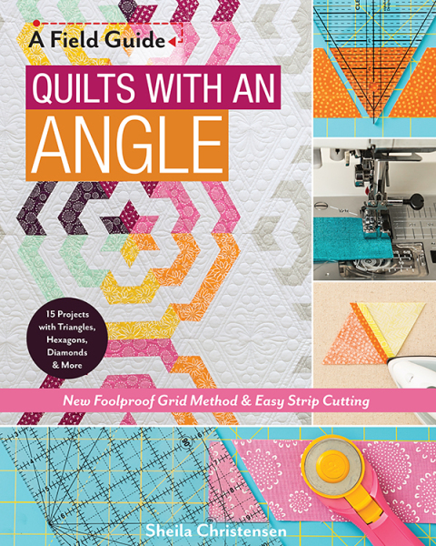 Cover image for book Quilts with an Angle