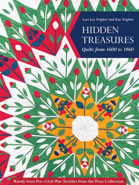 Cover image for book Hidden Treasures