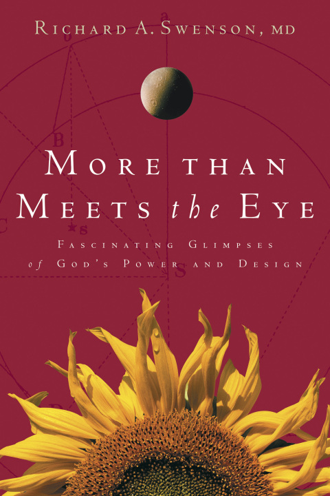 Cover image for book More Than Meets the Eye