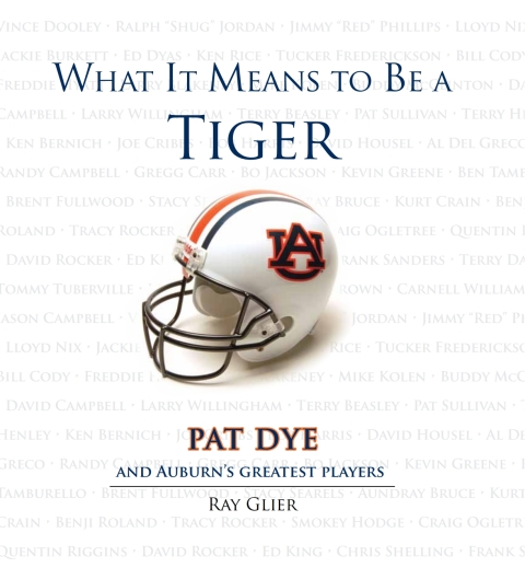 Cover image for book What It Means to Be a Tiger