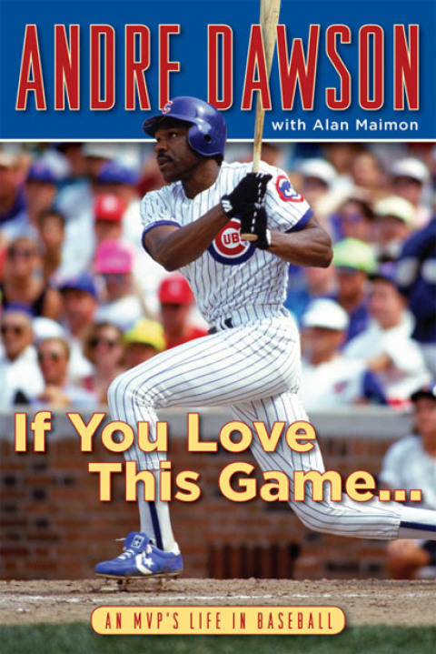 Cover image for book If You Love This Game . . .