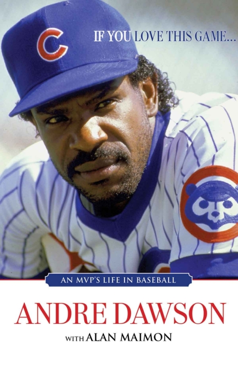 Cover image for book If You Love This Game . . .