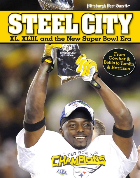 Cover image for book Steel City