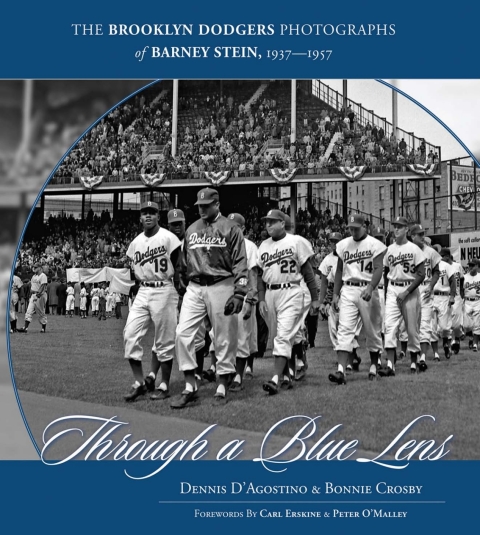 Cover image for book Through a Blue Lens