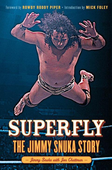 Cover image for book Superfly