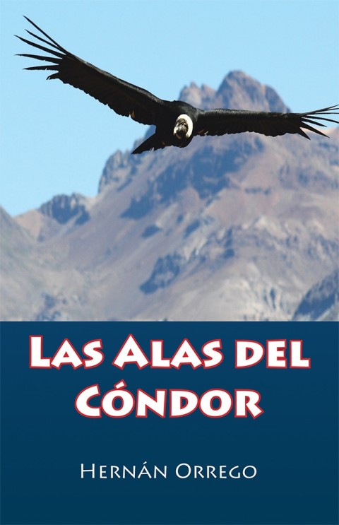 Cover image for book Las Alas Del Cóndor