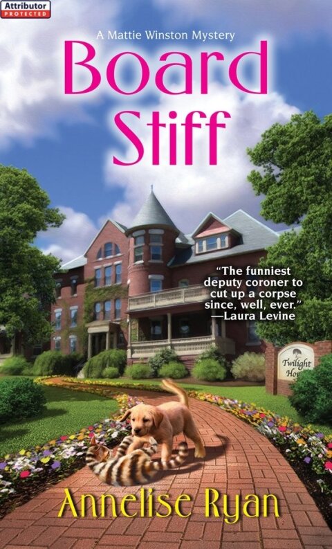 Cover image for book Board Stiff