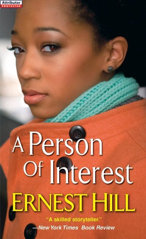 Cover image for book A Person of Interest