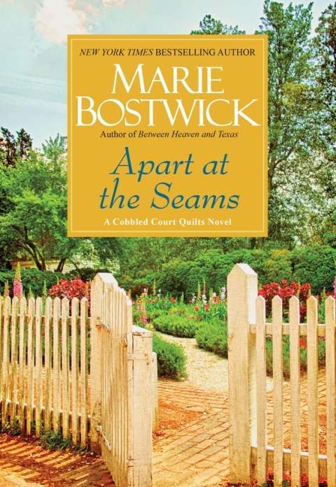 Cover image for book Apart at the Seams