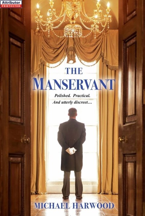 Cover image for book The Manservant