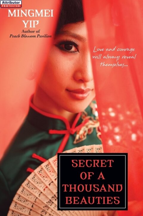 Cover image for book Secret of a Thousand Beauties