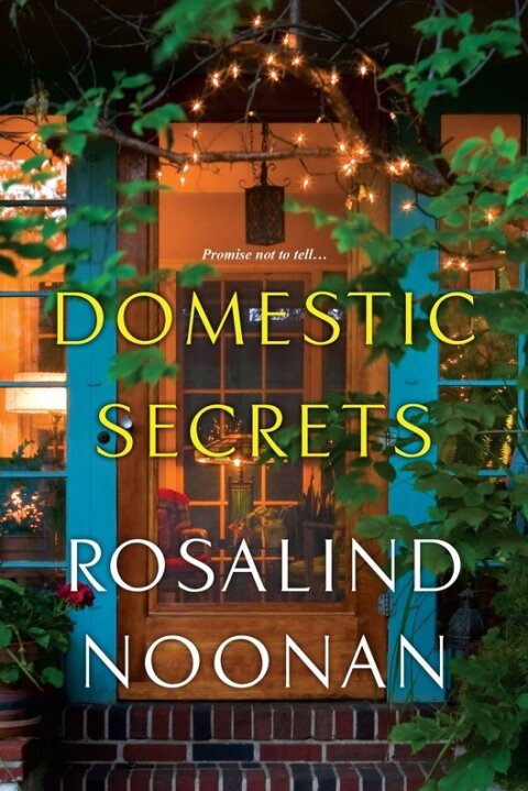 Cover image for book Domestic Secrets