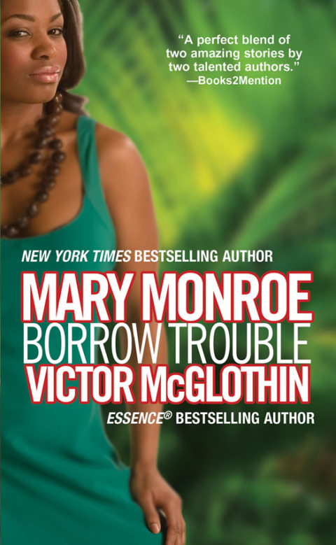Cover image for book Borrow Trouble