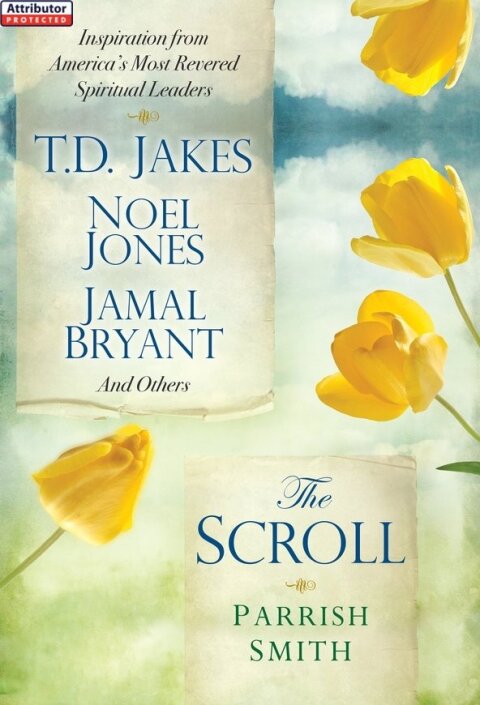 Cover image for book The Scroll