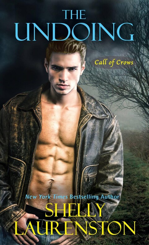 Cover image for book The Undoing