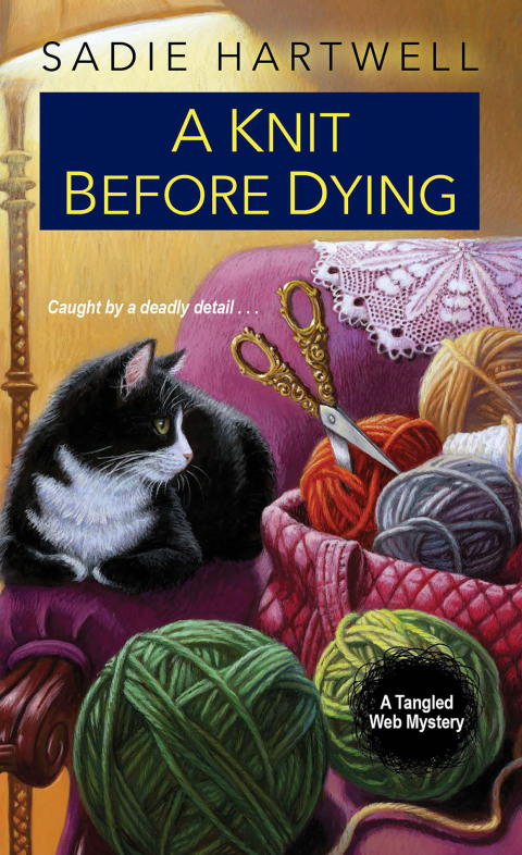 Cover image for book A Knit before Dying