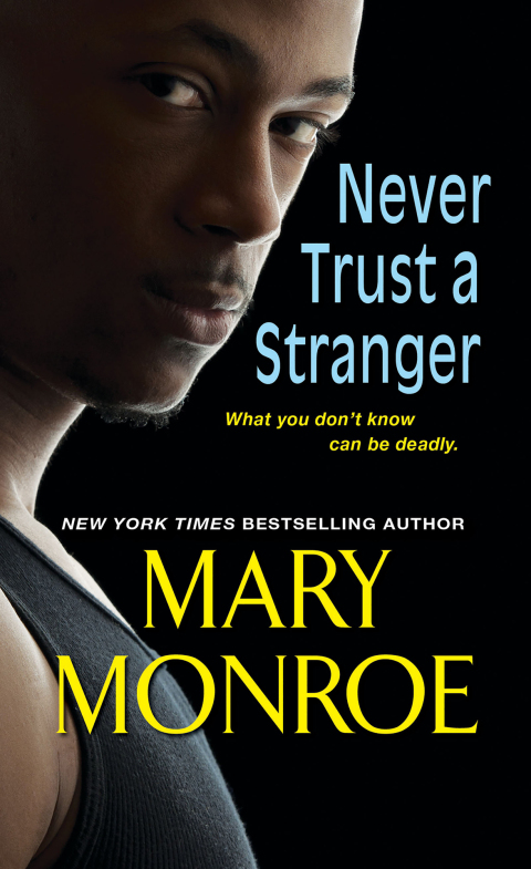 Cover image for book Never Trust a Stranger