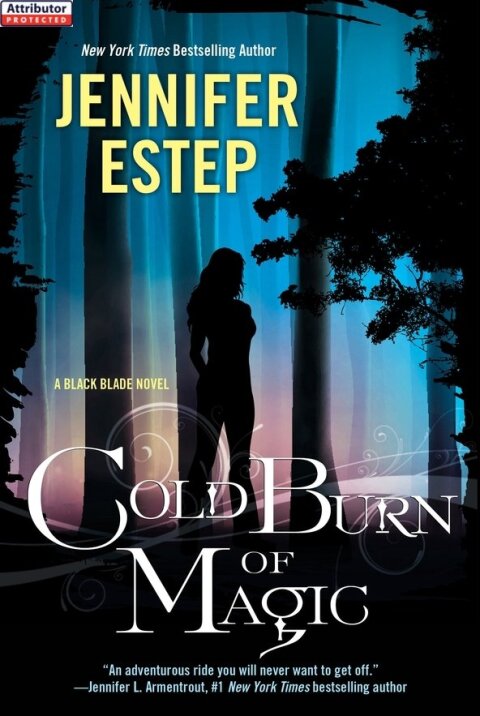 Cover image for book Cold Burn of Magic