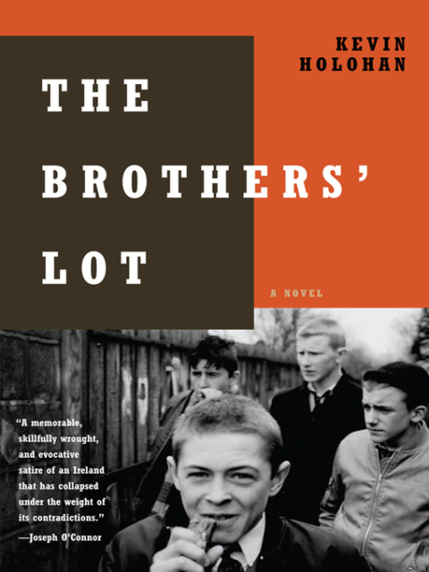 Cover image for book The Brothers' Lot