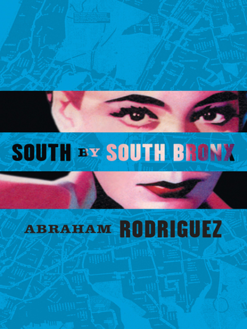 Cover image for book South by South Bronx