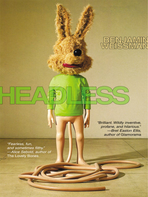 Cover image for book Headless