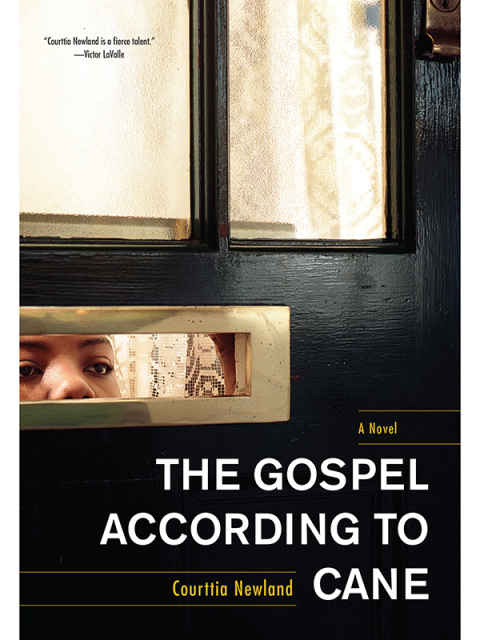 Cover image for book The Gospel According to Cane