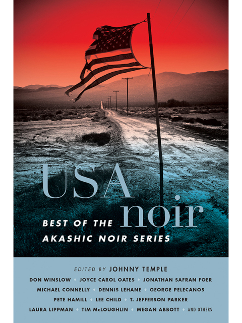 Cover image for book USA Noir
