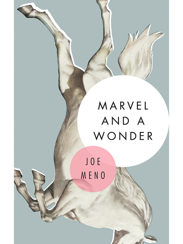 Marvel and a Wonder